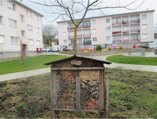 Hotel à insectes