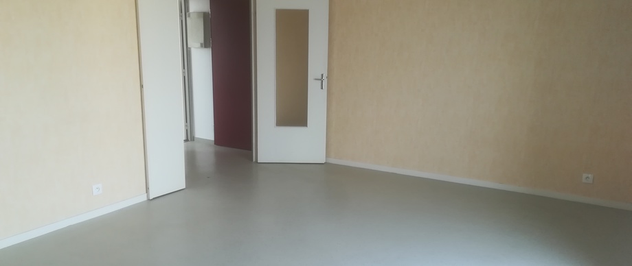 Appartement type 1 - 46 m² - Secteur Centre