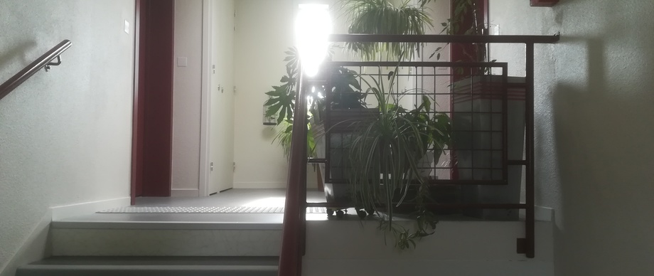 Appartement type 1 - 46 m² - Secteur Centre