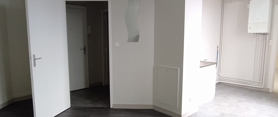 Appartement type 1bis - 48 m² - Secteur Centre